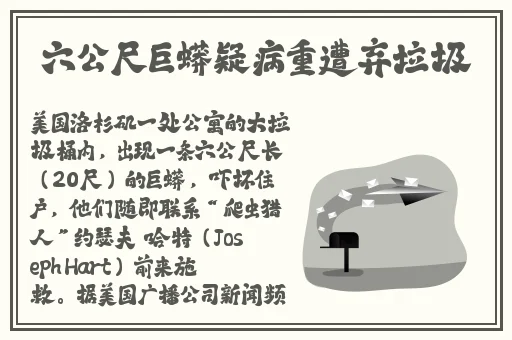 打扑克的剧烈摇床